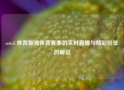 cctv5 体育新闻体育赛事的实时直播与精彩纷呈的解说
