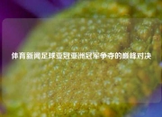 体育新闻足球亚冠亚洲冠军争夺的巅峰对决