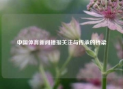 中国体育新闻播报关注与传承的桥梁