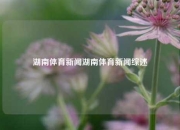 湖南体育新闻湖南体育新闻综述