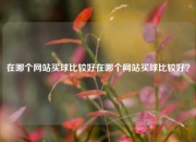 在哪个网站买球比较好在哪个网站买球比较好？