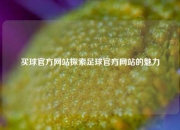 买球官方网站探索足球官方网站的魅力