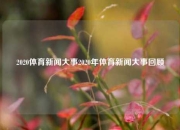 2020体育新闻大事2020年体育新闻大事回顾