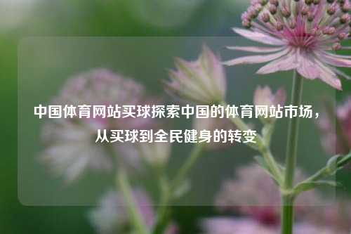 中国体育网站买球探索中国的体育网站市场，从买球到全民健身的转变