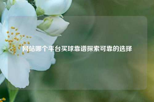 网站哪个平台买球靠谱探索可靠的选择