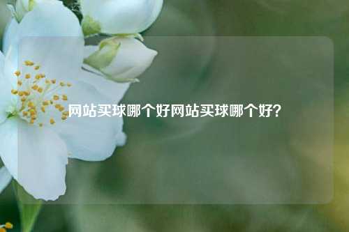 网站买球哪个好网站买球哪个好？