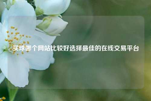 买球哪个网站比较好选择最佳的在线交易平台