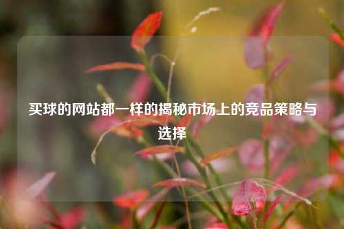 买球的网站都一样的揭秘市场上的竞品策略与选择