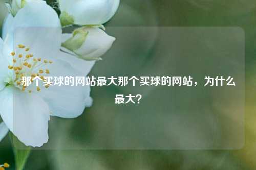 那个买球的网站最大那个买球的网站，为什么最大？