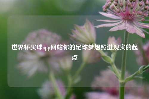 世界杯买球app网站你的足球梦想照进现实的起点