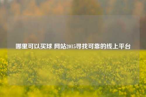 哪里可以买球 网站2015寻找可靠的线上平台
