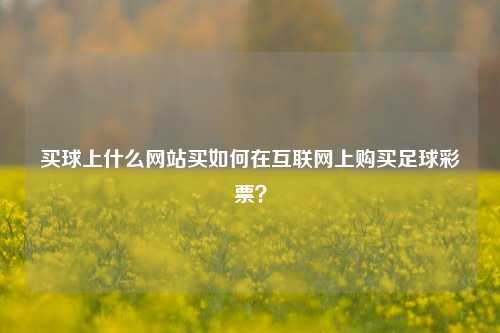 买球上什么网站买如何在互联网上购买足球彩票？