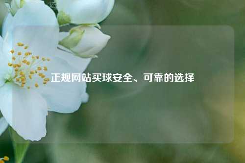 正规网站买球安全、可靠的选择