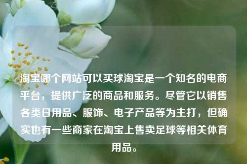 淘宝哪个网站可以买球淘宝是一个知名的电商平台，提供广泛的商品和服务。尽管它以销售各类日用品、服饰、电子产品等为主打，但确实也有一些商家在淘宝上售卖足球等相关体育用品。