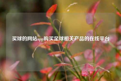 买球的网站app购买足球相关产品的在线平台