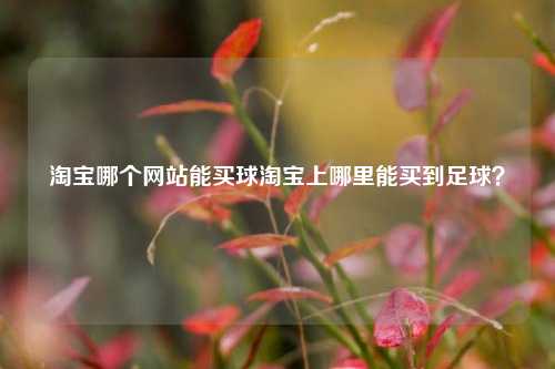 淘宝哪个网站能买球淘宝上哪里能买到足球？