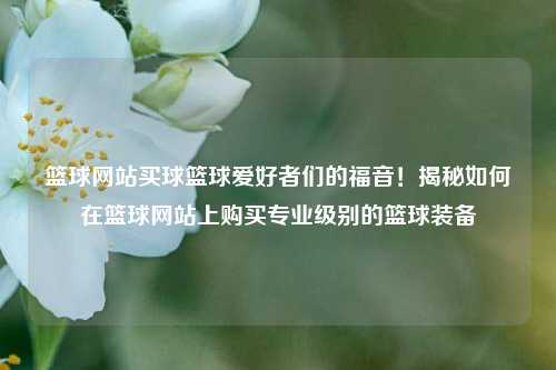 篮球网站买球篮球爱好者们的福音！揭秘如何在篮球网站上购买专业级别的篮球装备