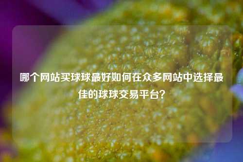 哪个网站买球球最好如何在众多网站中选择最佳的球球交易平台？