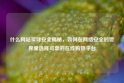 什么网站买球安全揭秘，如何在网络安全的世界里选择可靠的在线购物平台