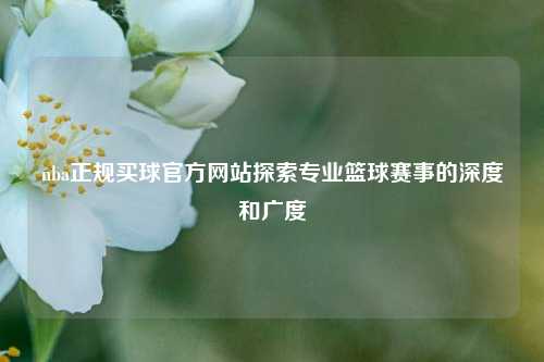 nba正规买球官方网站探索专业篮球赛事的深度和广度