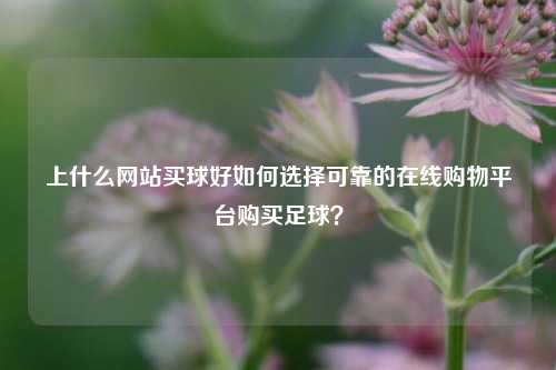 上什么网站买球好如何选择可靠的在线购物平台购买足球？
