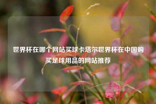 世界杯在哪个网站买球卡塔尔世界杯在中国购买足球用品的网站推荐