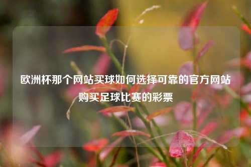 欧洲杯那个网站买球如何选择可靠的官方网站购买足球比赛的彩票