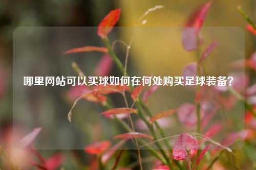 哪里网站可以买球如何在何处购买足球装备？
