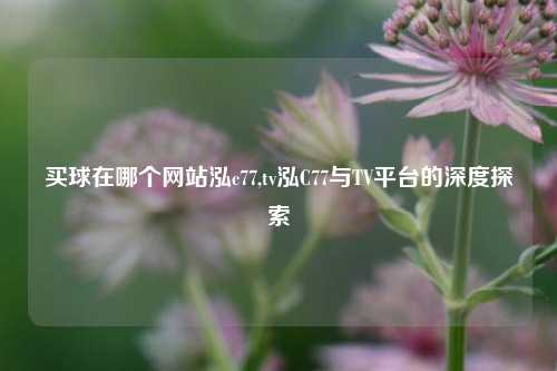买球在哪个网站泓c77,tv泓C77与TV平台的深度探索