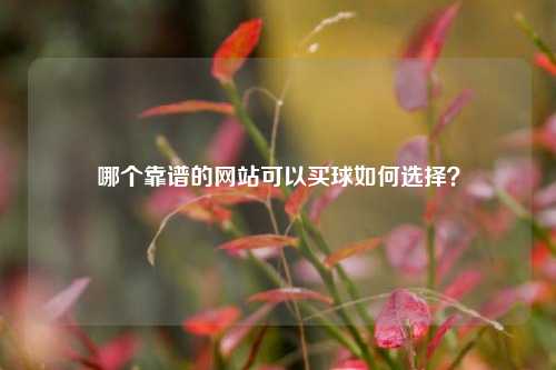 哪个靠谱的网站可以买球如何选择？