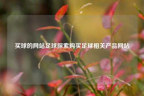 买球的网站足球探索购买足球相关产品网站