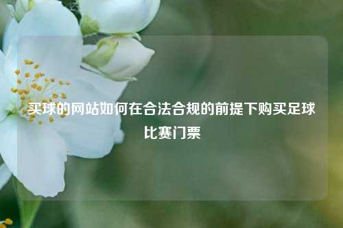 买球的网站如何在合法合规的前提下购买足球比赛门票