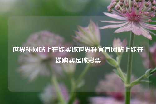 世界杯网站上在线买球世界杯官方网站上线在线购买足球彩票