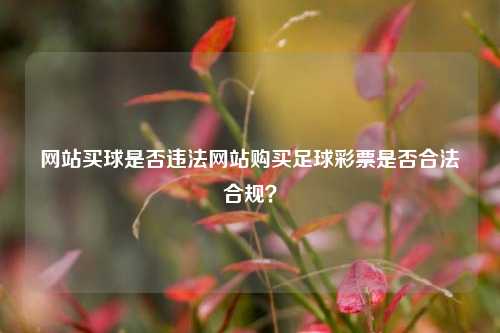 网站买球是否违法网站购买足球彩票是否合法合规？