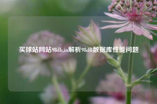 买球站网站98db,in解析98dB数据库性能问题